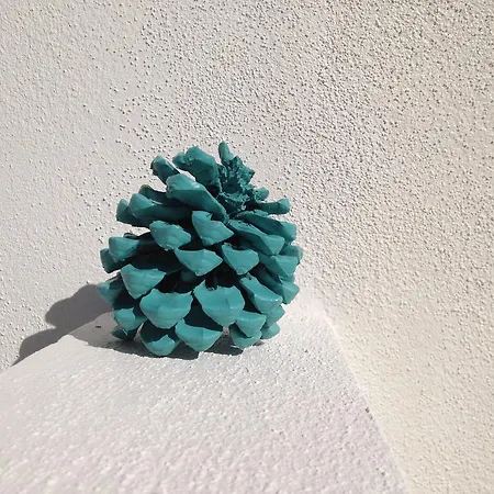 컨트리하우스 Case Sparse